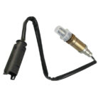 13110097354_212254260