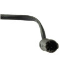 13152047369_212254260